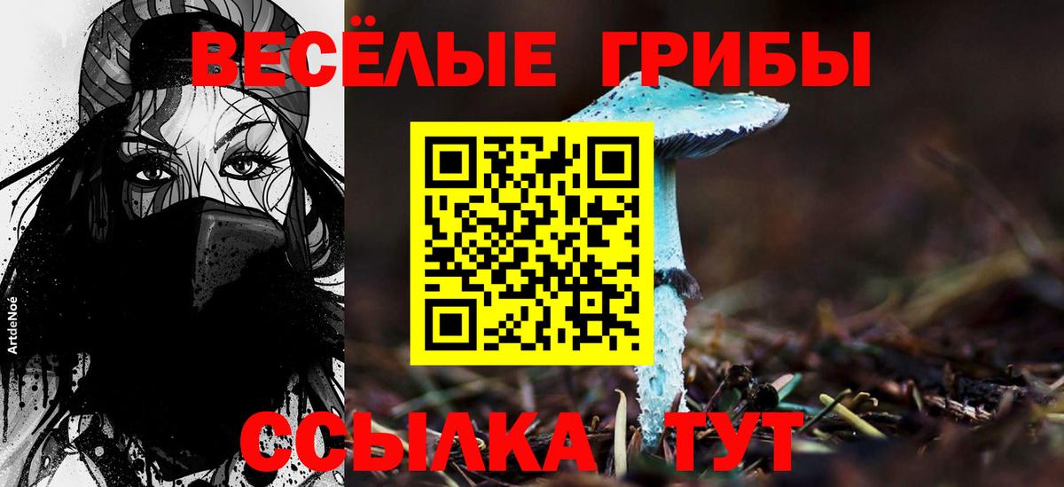 Галлюциногенные грибы мухоморы Северск
