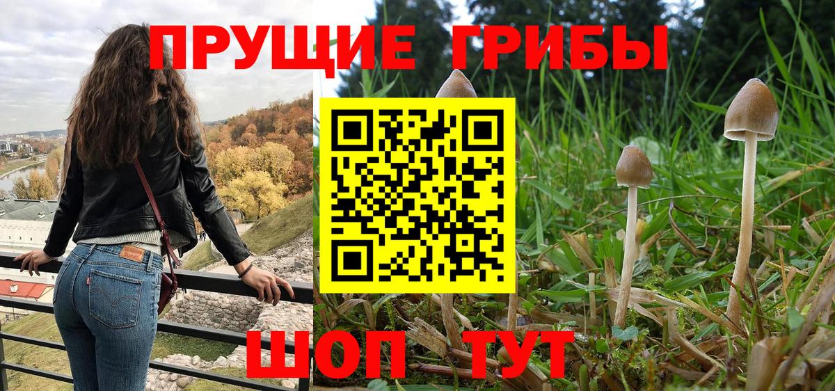Псилоцибиновые грибы мухоморы  Вход с VPN  Северск 