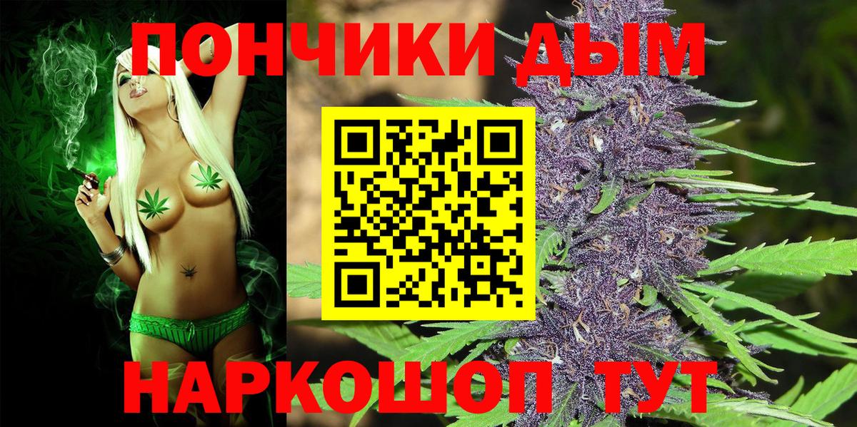 Конопля индика Северск